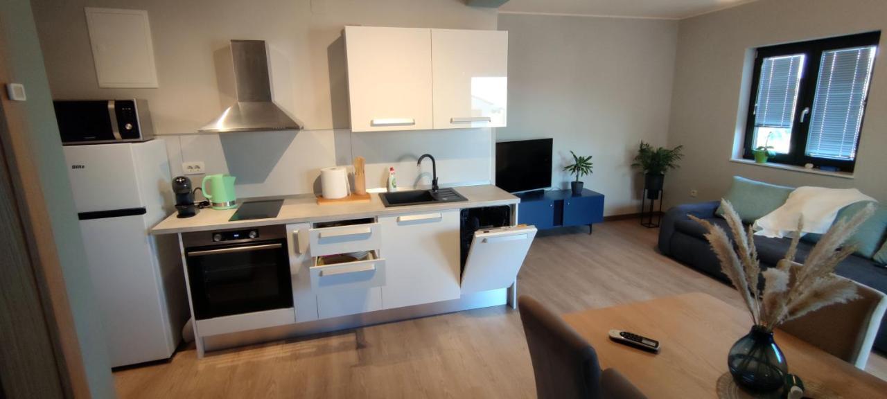 ביוגראד נה מורו Spacious Modern Apartment מראה חיצוני תמונה